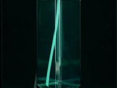 Taking Life to the Next Level：Black, and White with Matching Pistol Trigger Nozzles